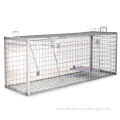 /msite/products/detail/productid/62719674/id/1509898.html